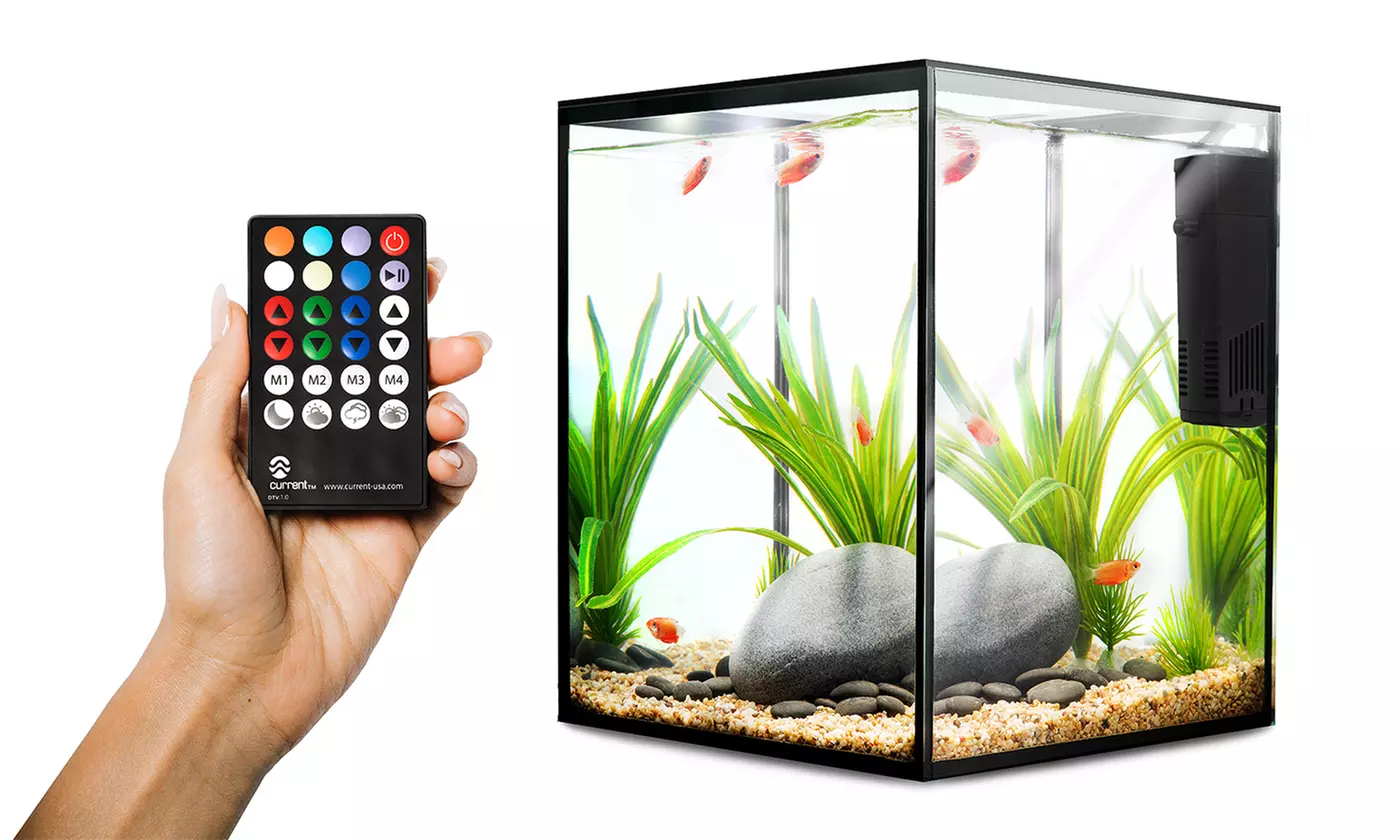 Desktop 5-Gal Aquarium with Remote-Controlled LED Lighting by Current USA - Primary Image