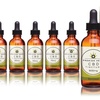 MCT CBD Oil Tincture from Premier Hemp | Groupon