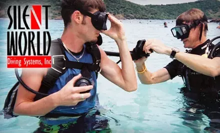 $25 for a Three-Hour Scuba Lesson at Silent World Diving Systems ($50 Value) - Primary Image