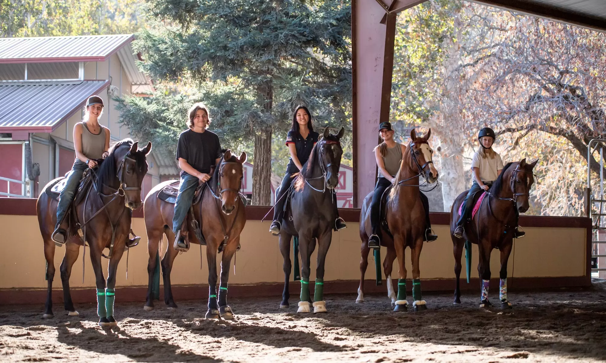 One or Three Horseback Riding Lessons at On The Bit (Up to 30% Off) - Primary Image