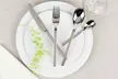 Villeroy and Boch Bellevue Polished Stainless Steel Cutlery Set - Second Medium