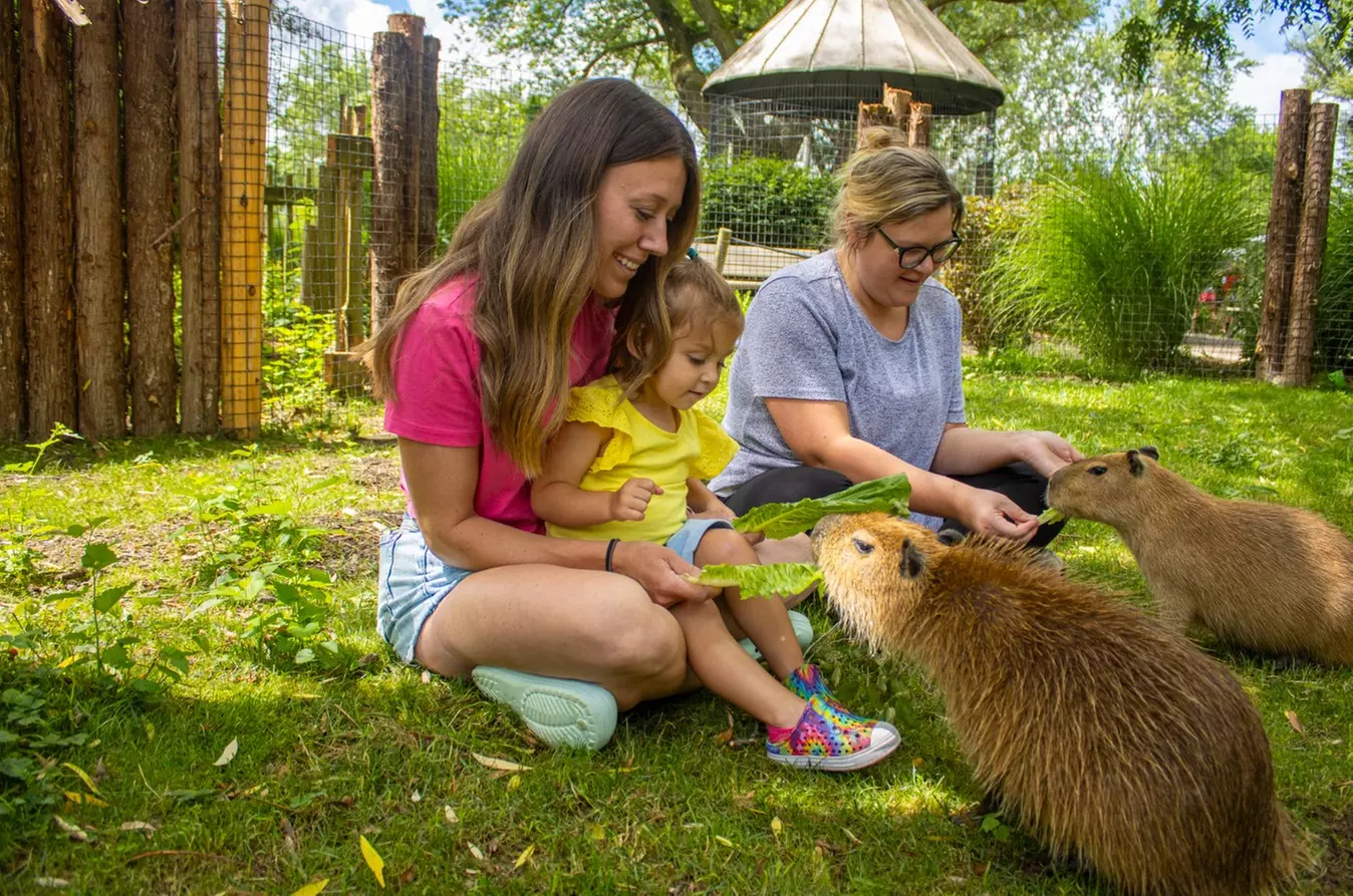 Up to 21% Off Admission at African Safari Wildlife Park - Ohio