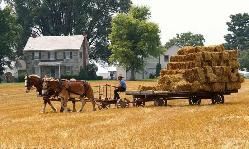The Amish Experience (Through December 31) - Primary Image