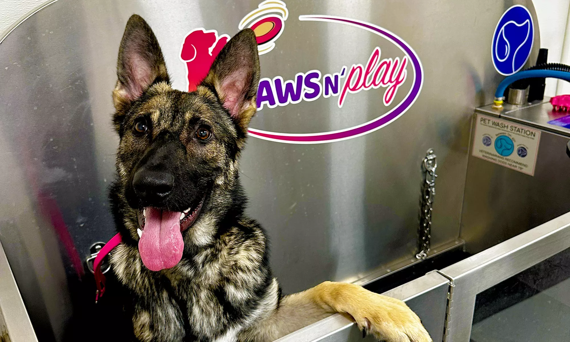 Up to 63% Off on Pet Supply Store at Paws N' Play