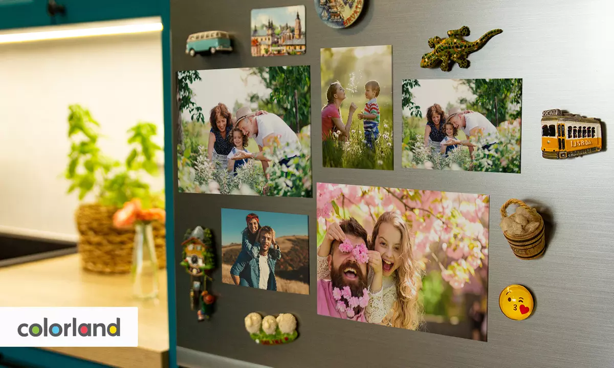Fotomagnesy na lodówkę ze zdjęciem: różne formaty od 7,90 zł z Colorland.pl - Primary Image
