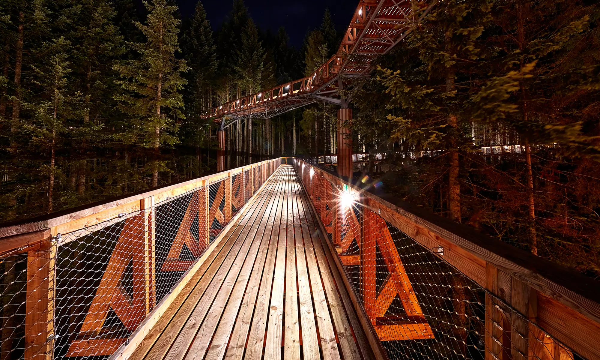 Odkryj magię natury w Centrum Przyrodniczo-Edukacyjnym Brama w Gorce