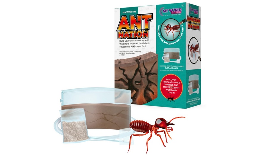 Image 1: One or Two Ant Nation Build Your Own Ant Colony Kits