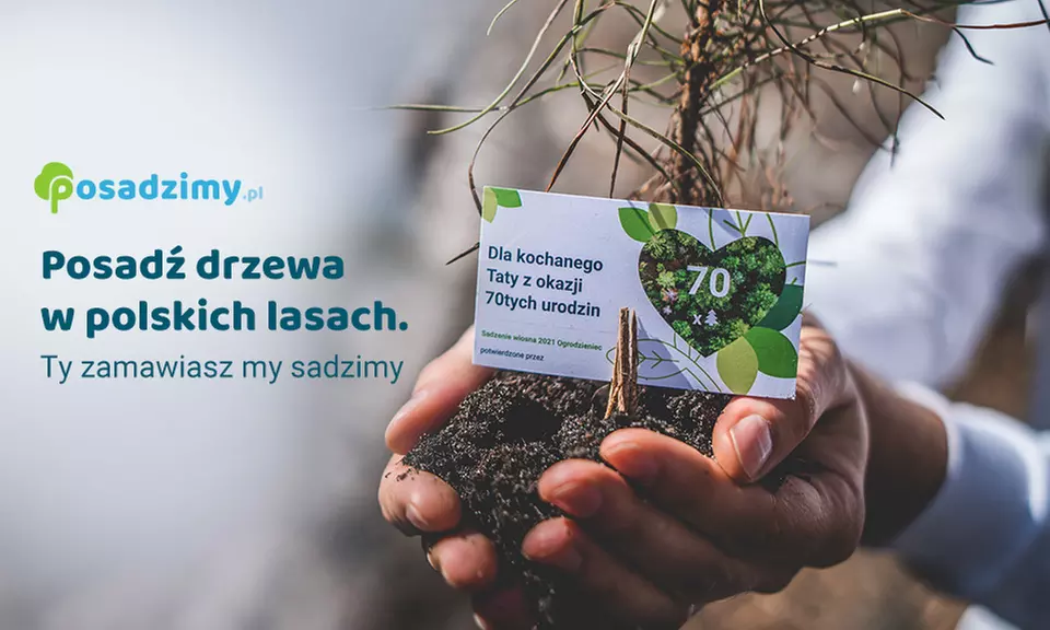 Posadzenie 5 drzew z certyfikatem za 39,99 zł i więcej z serwisem Posadzimy.pl - Primary Image