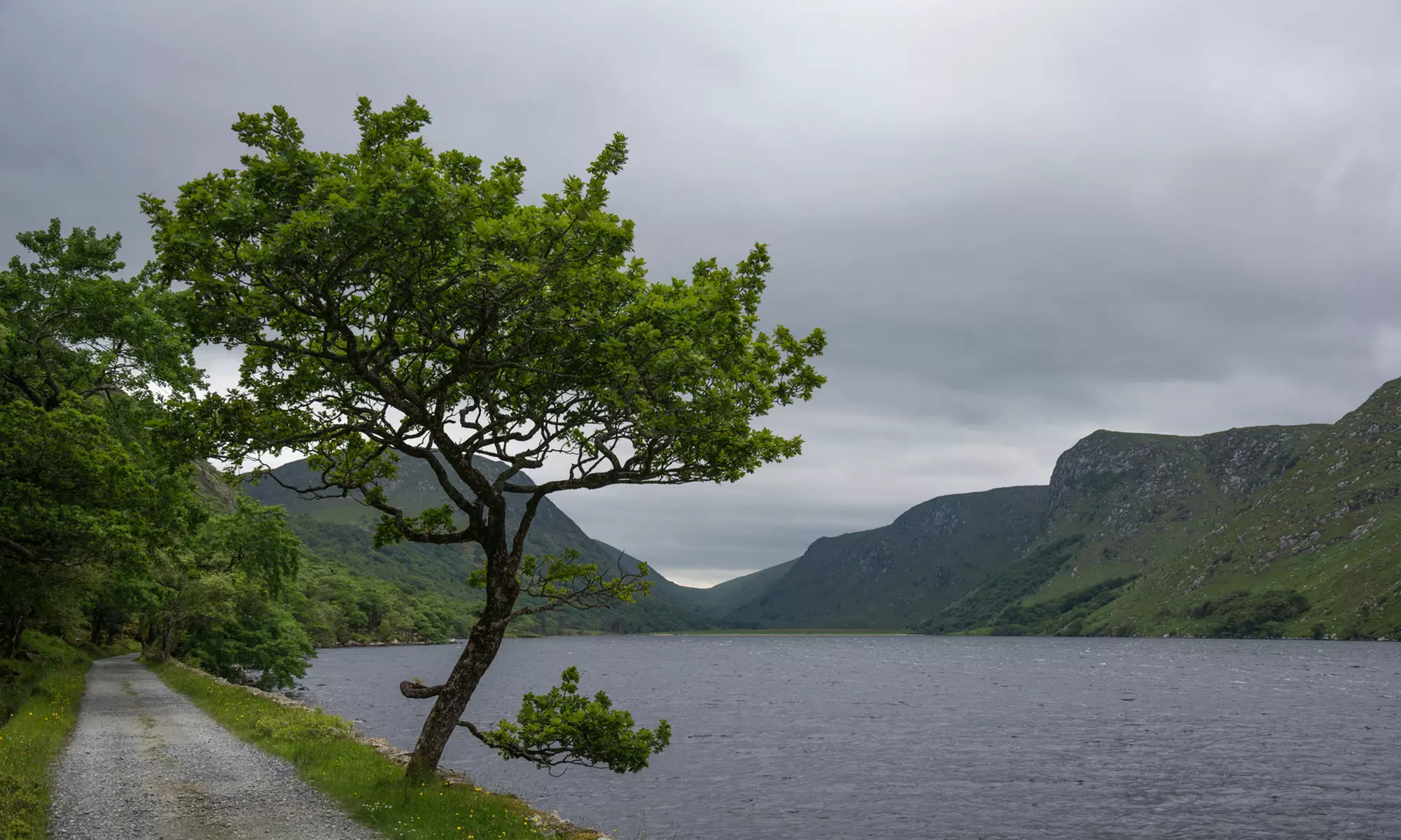 ✈ 6-Day Dublin Vacation with Air