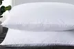 1 o 2 guanciali in vera piuma, traspiranti e termoregolatori - Image 3