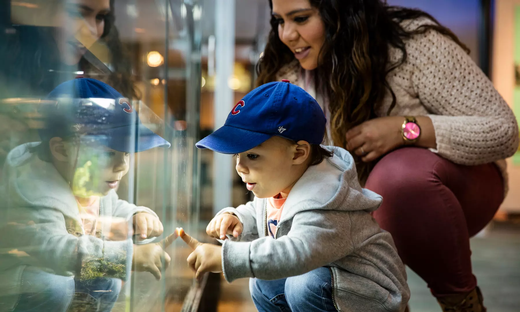 Admission for One, Two or Four at Peggy Notebaert Nature Museum (Up to 44% Off) - Second Medium