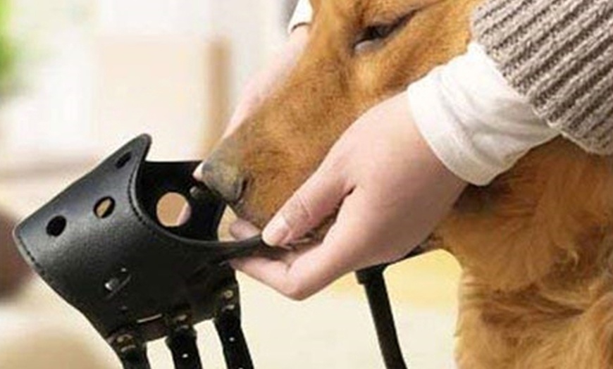 Image 9: Adjustable Dog Muzzle