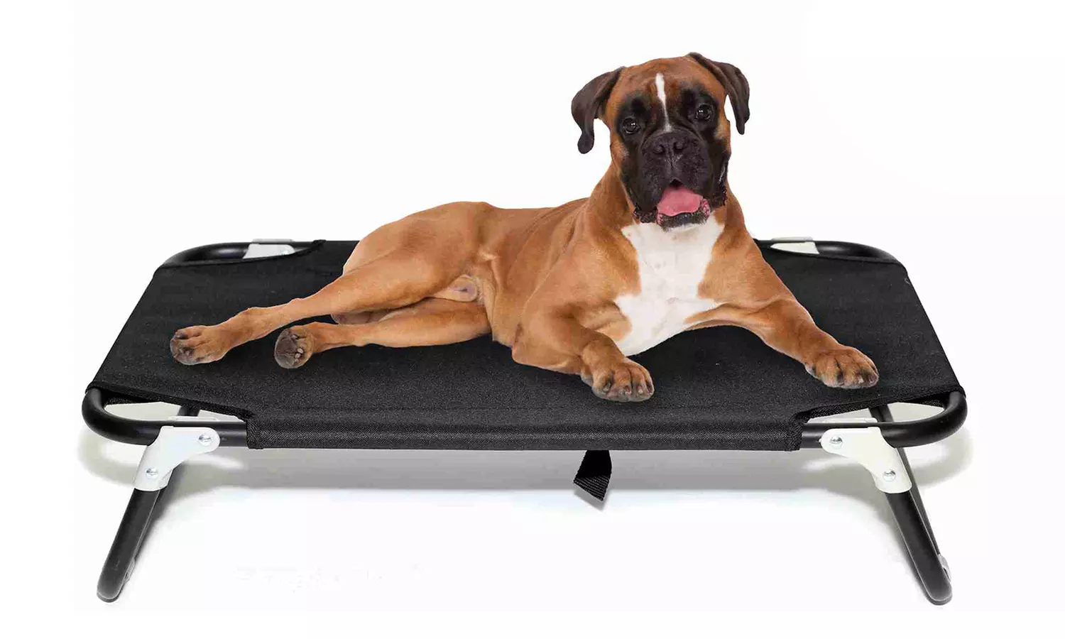 Small or Large Foldable Pet Bed With Free Delivery - Primary Image