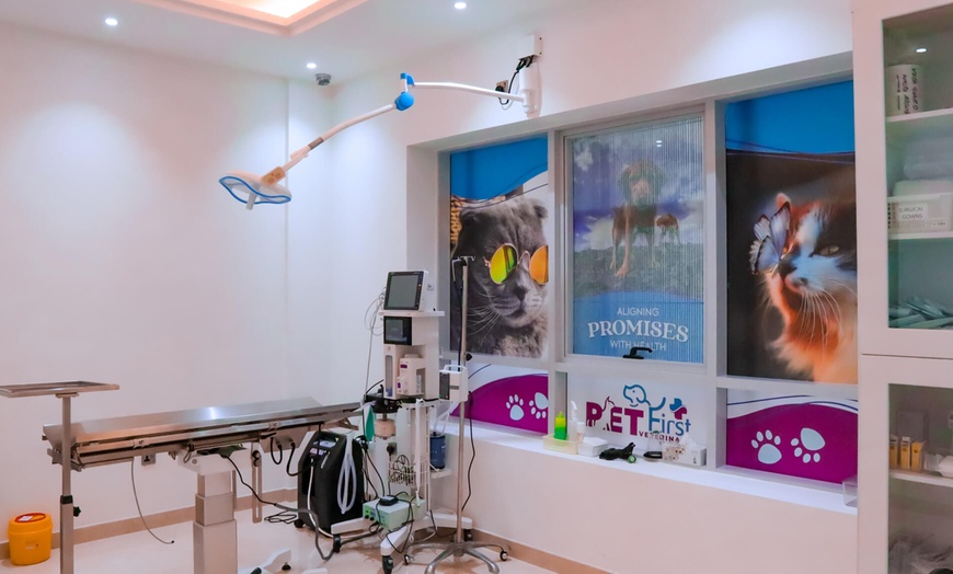 Image 1: Dog / Cat Grooming from Best Veterinary Clinic in the UAE Award Winner