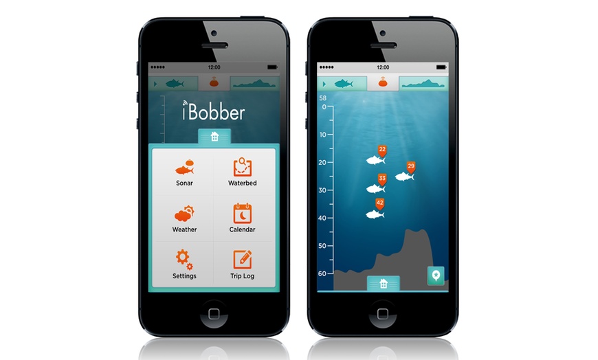 Image 5: iBobber Castable Bluetooth Smart Fish Finder