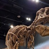 Image 9: Dinosaur Park Admission for 2, 3, or 4 – Fun and Educational!
