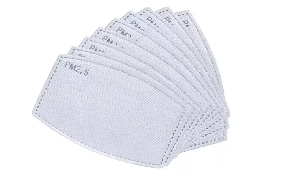 Activated Carbon 2.5PM Filters for Face Masks (10-, 20- or 30-Pack) - Primary Image