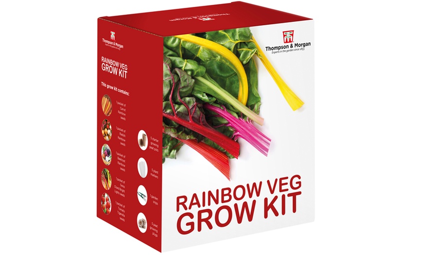 Image 20: Mixed Seed Grow Kits