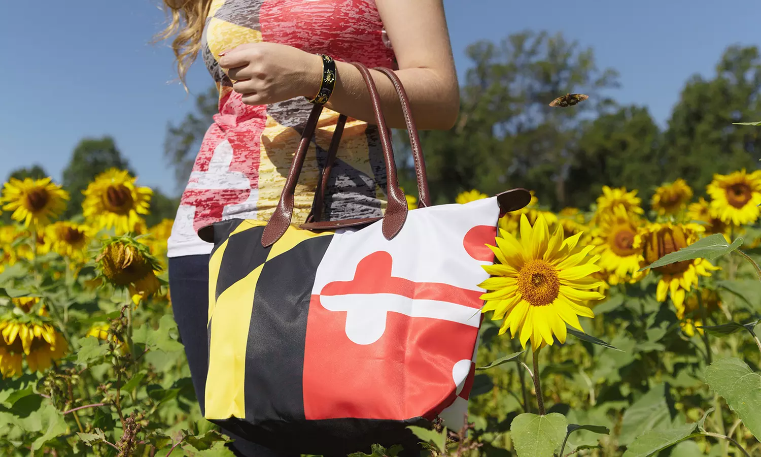 Maryland Pride Apparel and Accessories from Route One Apparel (Up to 40% Off). Two Options Available. - Primary Image