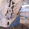 Image 8: Premium Access to 12,000 Sq. Ft. of Climbing, Fitness, Yoga, & More