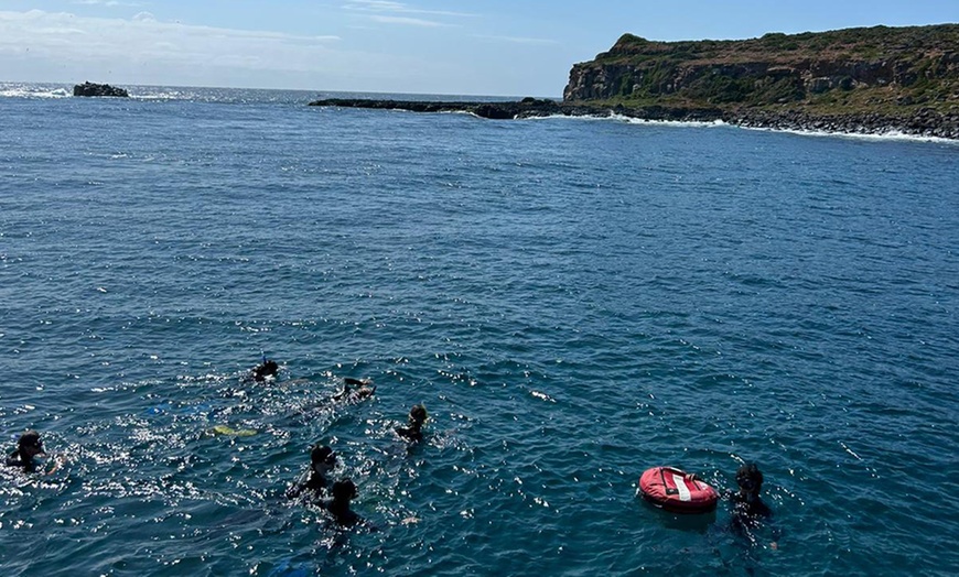 Image 6: 4-Hr Snorkelling Island Adventure