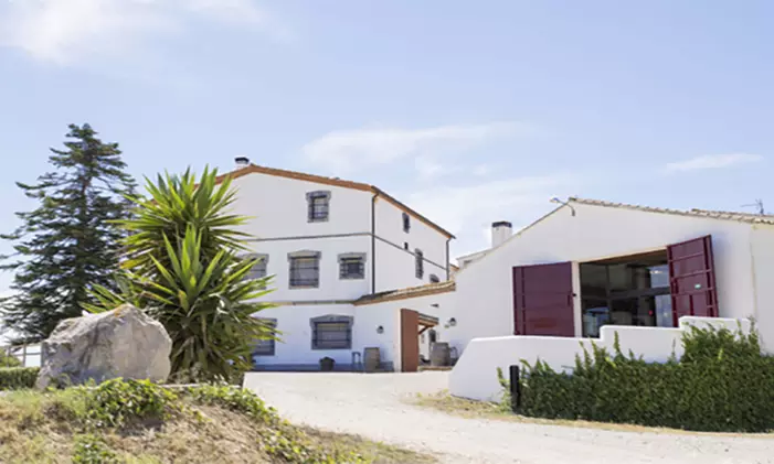 Viticultura, enología y cata para 1 o 2 en Bodega J Miquel Jane