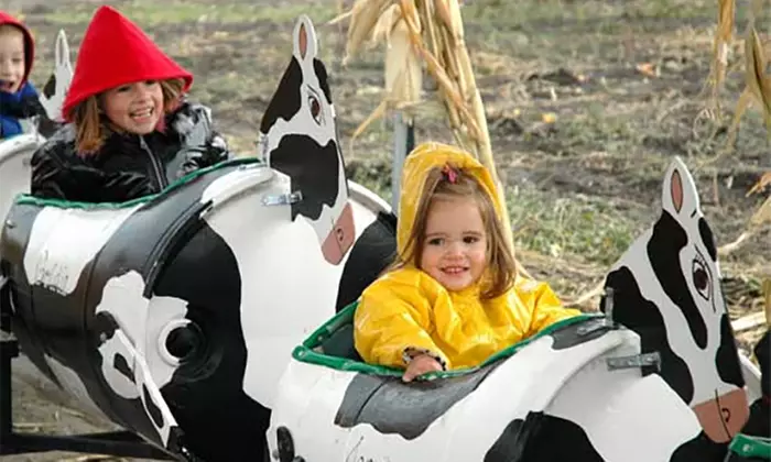 Family Farm Fun with Corn Maze, Pumpkin Patch, Hay Rides & More