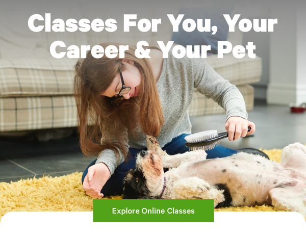 Classes For You, Your Career & Your Pet 