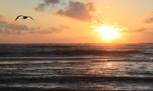 Hartje Zandvoort: superior tweepersoonskamer 