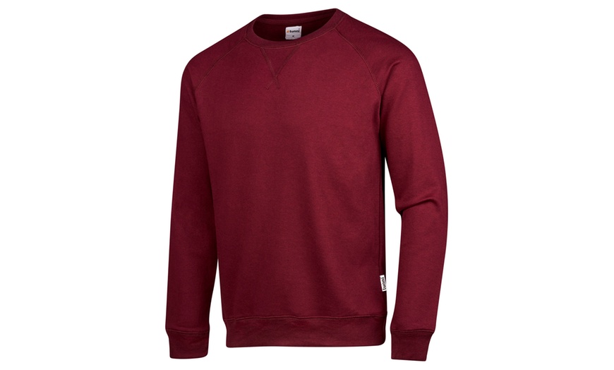 Image 2: One or Two Plain Sweatshirts
