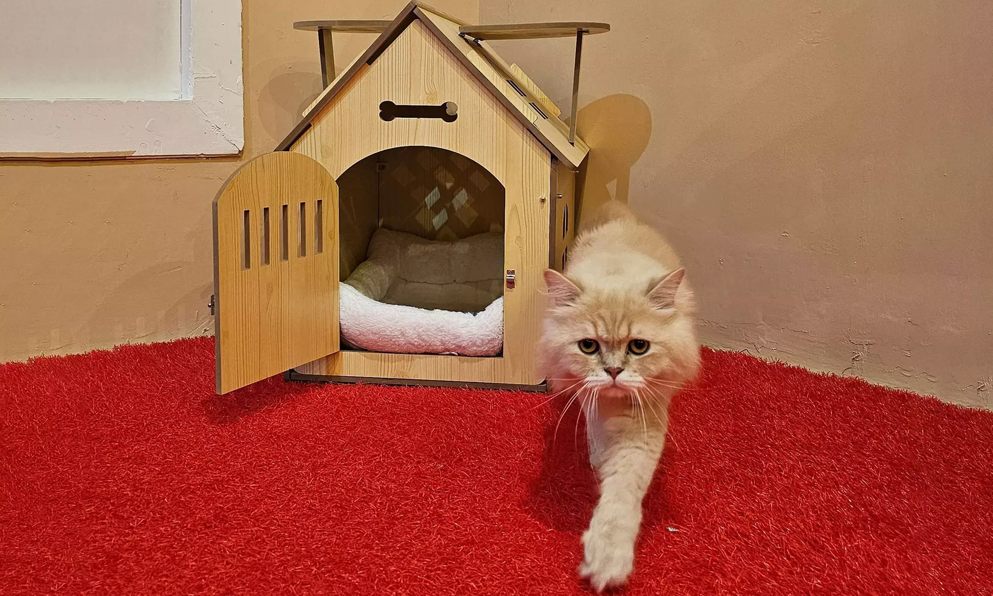 General Entry Ticket for Two Hours or Full Day