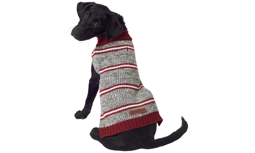 eddie bauer marled striped dog sweater