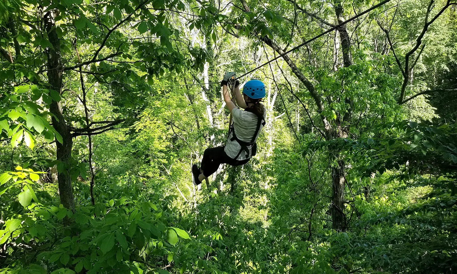 Canopy Tour for Two, Four or Six at Common Ground Canopy Tours