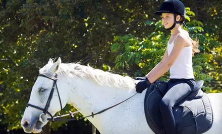 Two, Four, or Six Regular or Therapeutic Horseback-Riding Lessons at Stepping Stones Riding Academy (Up to 70% Off) - Primary Image