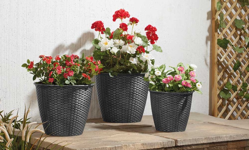 Image 3: Three-Pk Rattan-Effect Planters