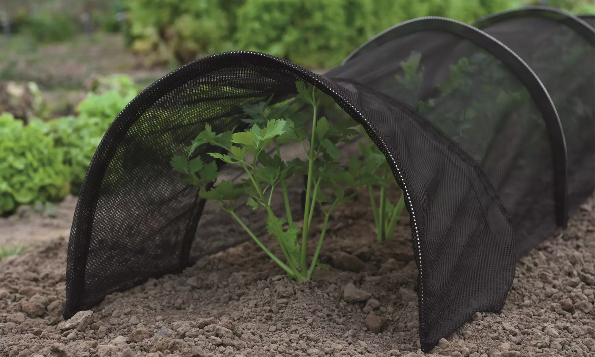 One, Two or Five Garden Grow Greenhouse Net Tunnel - Primary Image