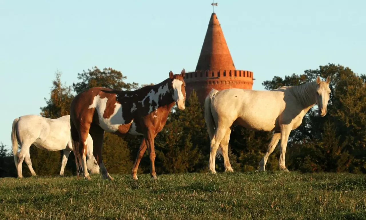 Tollensesee: 2-5 Nächte für Zwei mit Frühstück