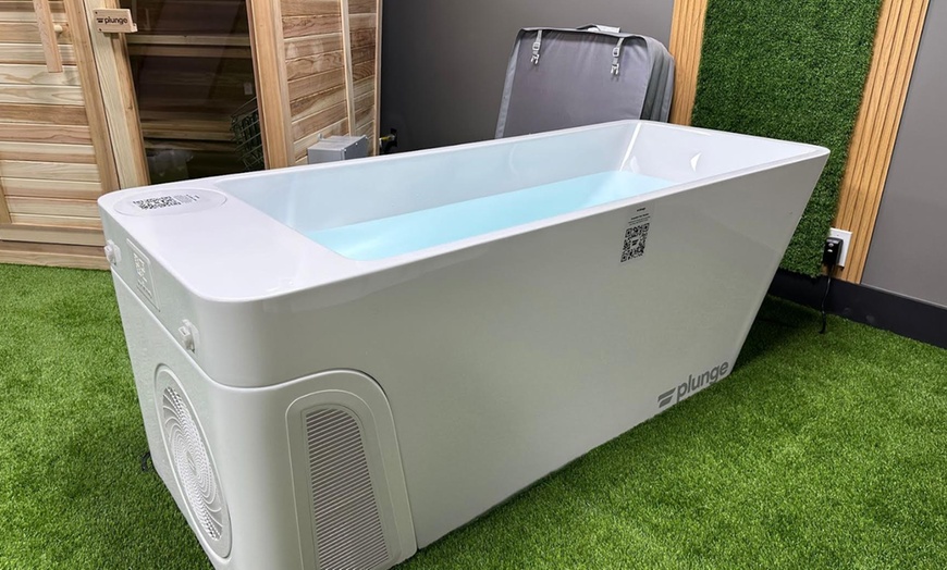 Image 4: 45-Minute Cold Plunge, Sauna and Red Light Therapy Sessions 