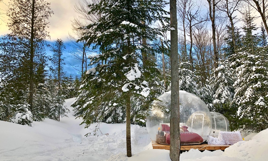 Image 2: Accommodation in a Bubble Tent