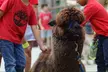 Admission Tickets to Houston Aquarium and Animal Adventure plus Arcade Credits - Up to 39% Off! - Second Medium