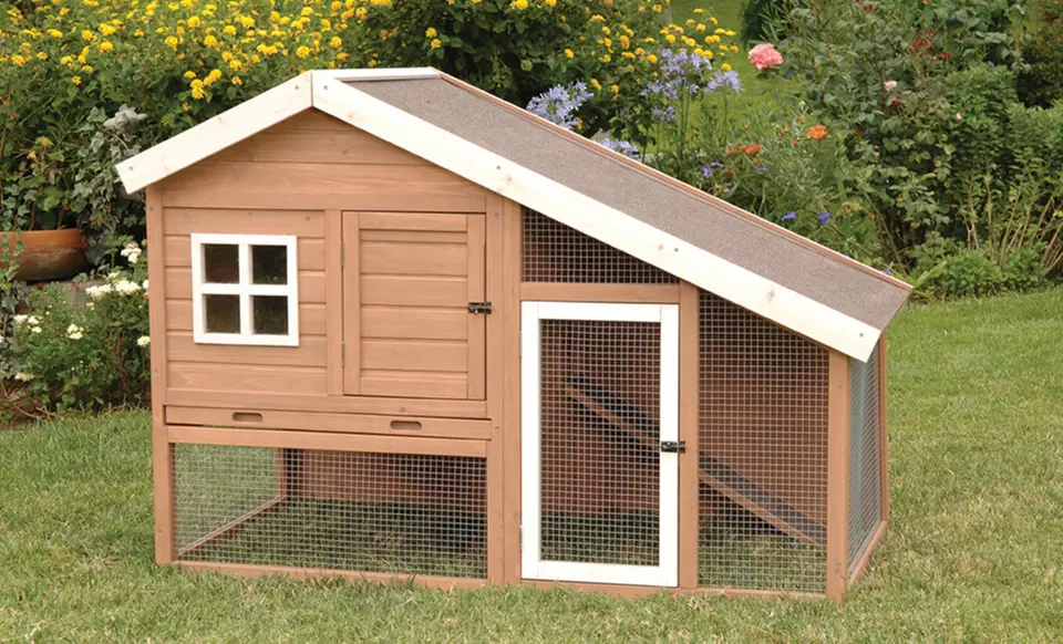 Chicken Coop or Rabbit Hutch | Groupon Goods