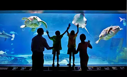 $175 for One-Year Family Membership at Adventure Aquarium and Elmwood Park Zoo ($285 Value) - Primary Image