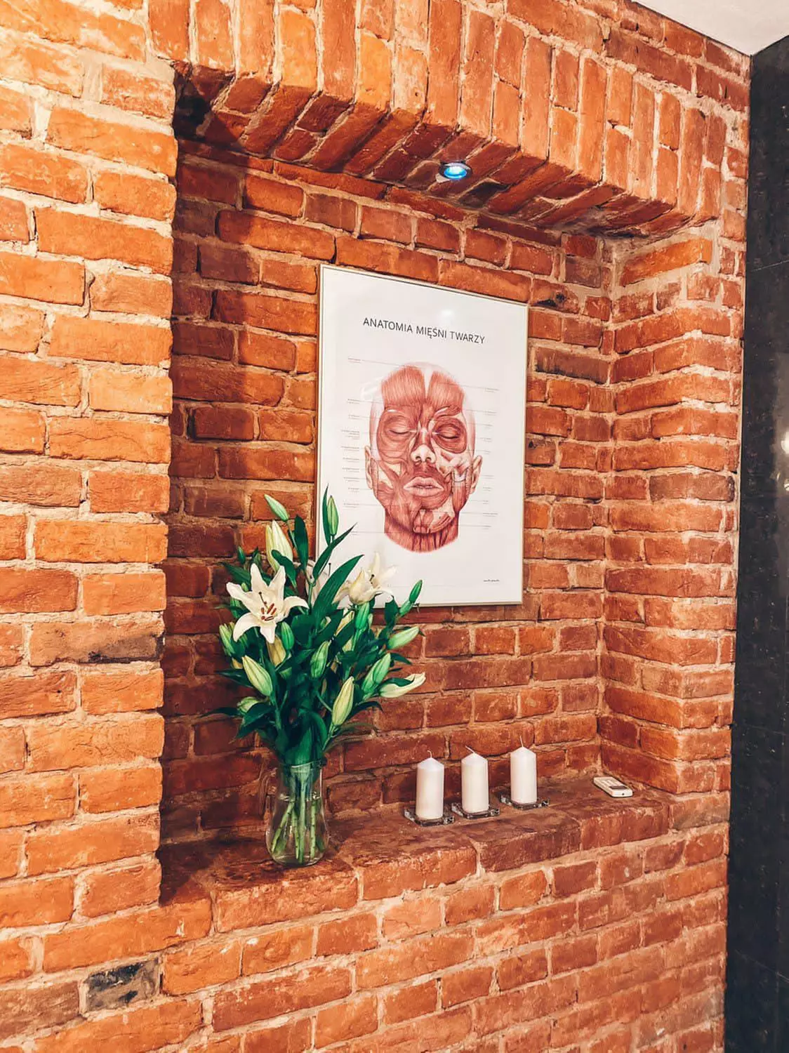 Karboksyterapia: pakiet 10 zabiegów w gabinecie SQINIC