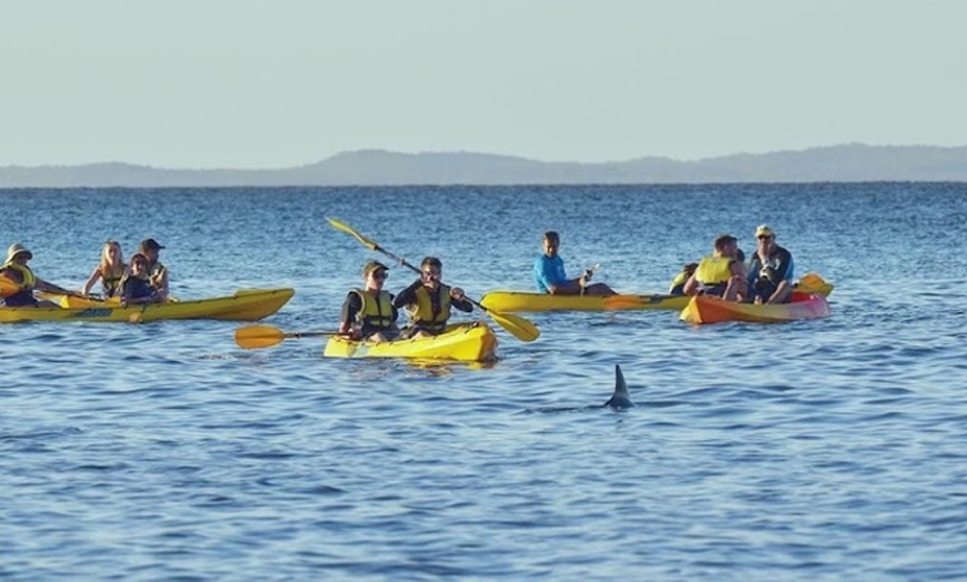 Image 1: Dolphin-View Kayak Tour or Private Day Tour to Double Island Point