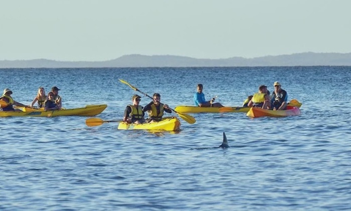 Dolphin-View Kayak Tour or Private Day Tour to Double Island Point