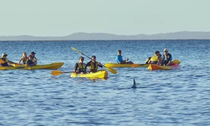 Dolphin-View Kayak Tour for 1, 2, or 4 People or Private Day Tour with 2 Activities for Up to 8 to Double Island Point - Primary Image