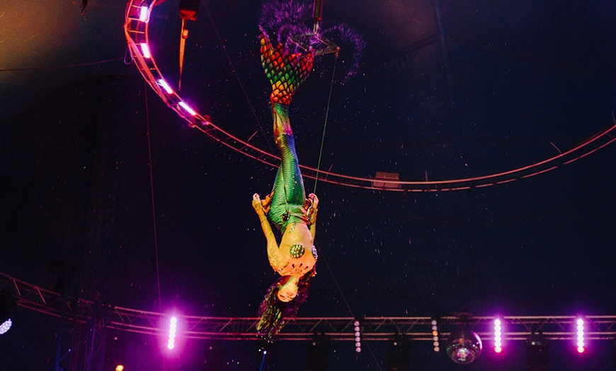 Image 6: 1 Ticket für Waterland Zirkus vom 21.08. - 05.09.25 in Dortmund