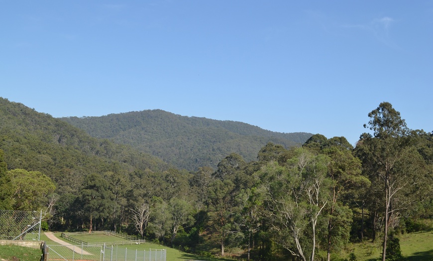 Image 3: Thrilling 4WD buggy tours and engaging animal encounters await
