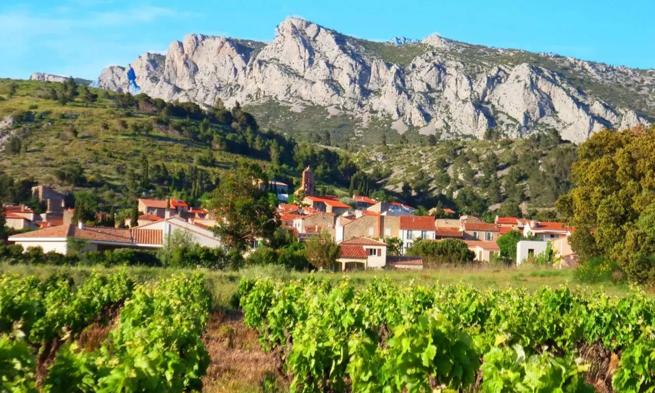 Jusqu'à 28% de remise sur Dégustation - Vins chez Vents Du Sud