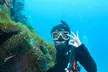 Scuba diving or Fujairah Diving or Snorkeling Trip at Goblin Diving Center( Up to 50% Off) - Image 5